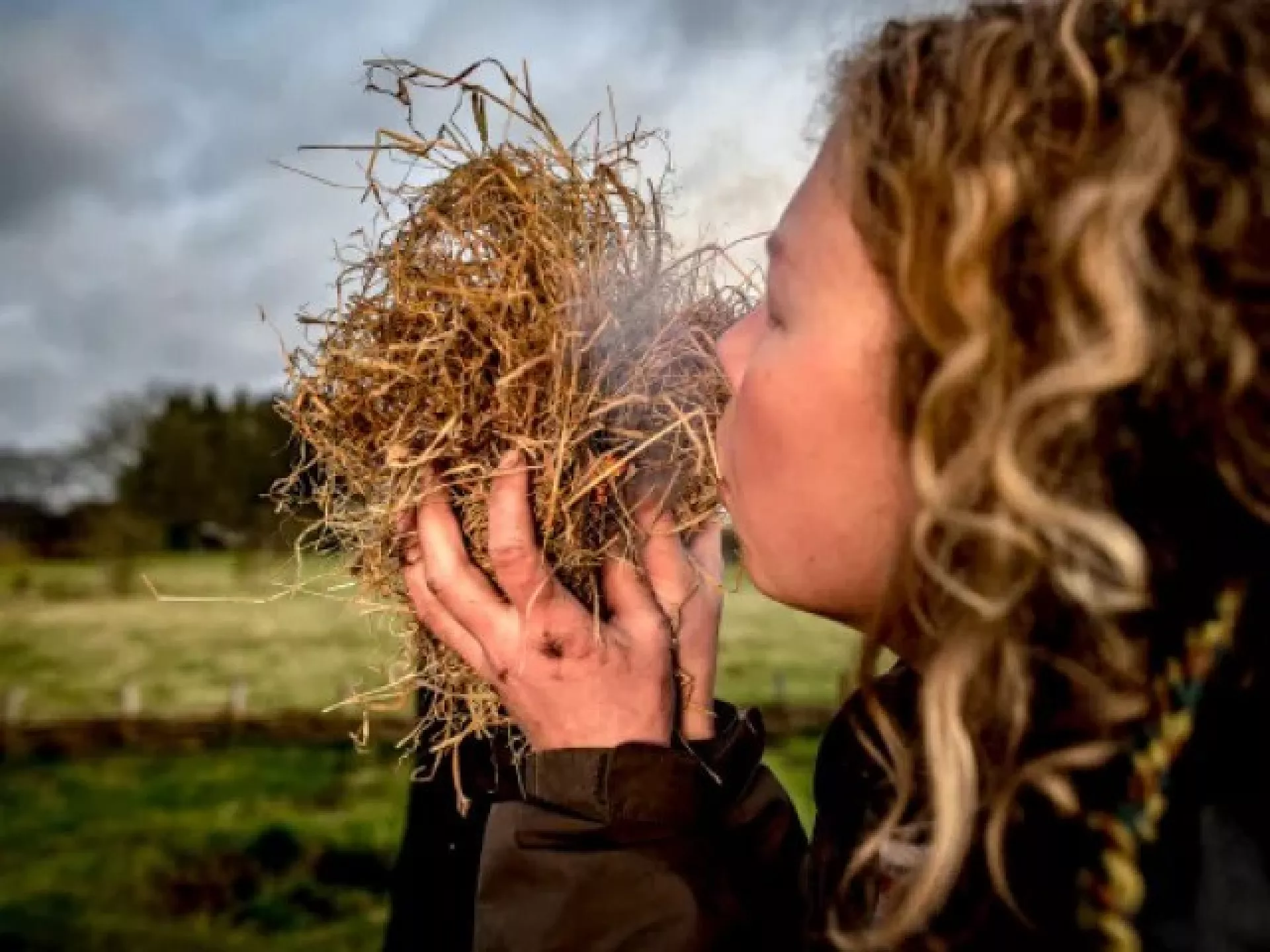 Persoon blaast in een bosje hooi in een landelijk landschap.